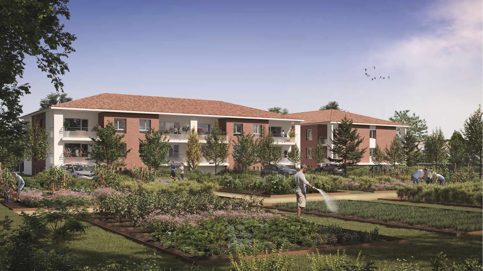Greencity immobilier - achat appartements neufs du T2 au T4 - Résidence Les Bucoliques - 31140 Launaguet