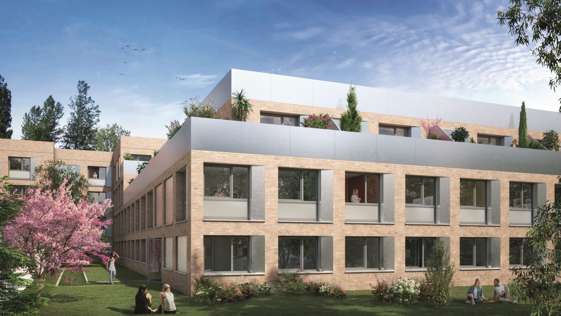 Greencity immobilier - achat appartements neufs du T1 au T5 - Résidence Etudiante - Aristote - 31400 Toulouse Rangueil